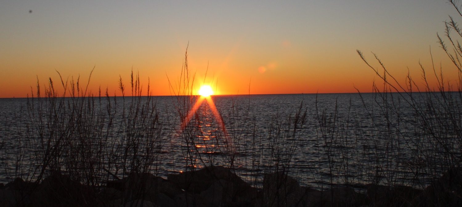 Image for What is Alabama Known For?