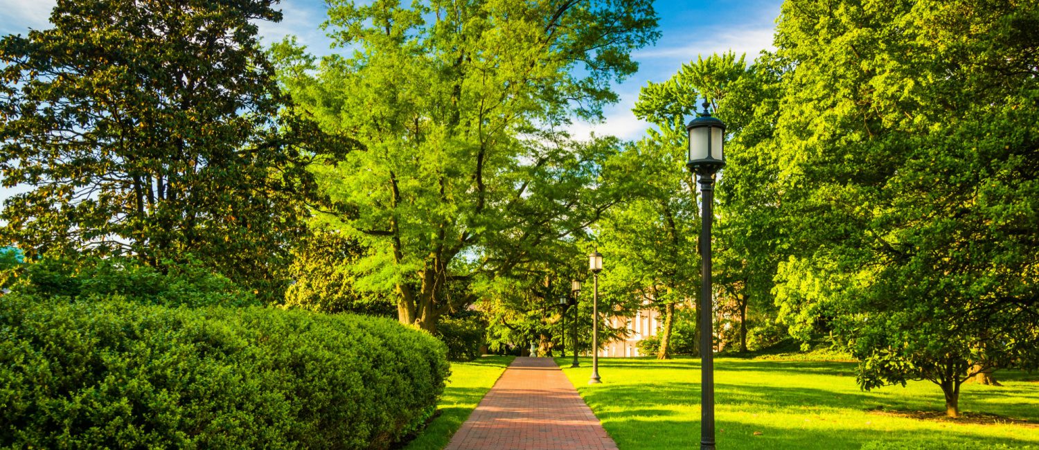 Image for The Best College Towns in Maryland