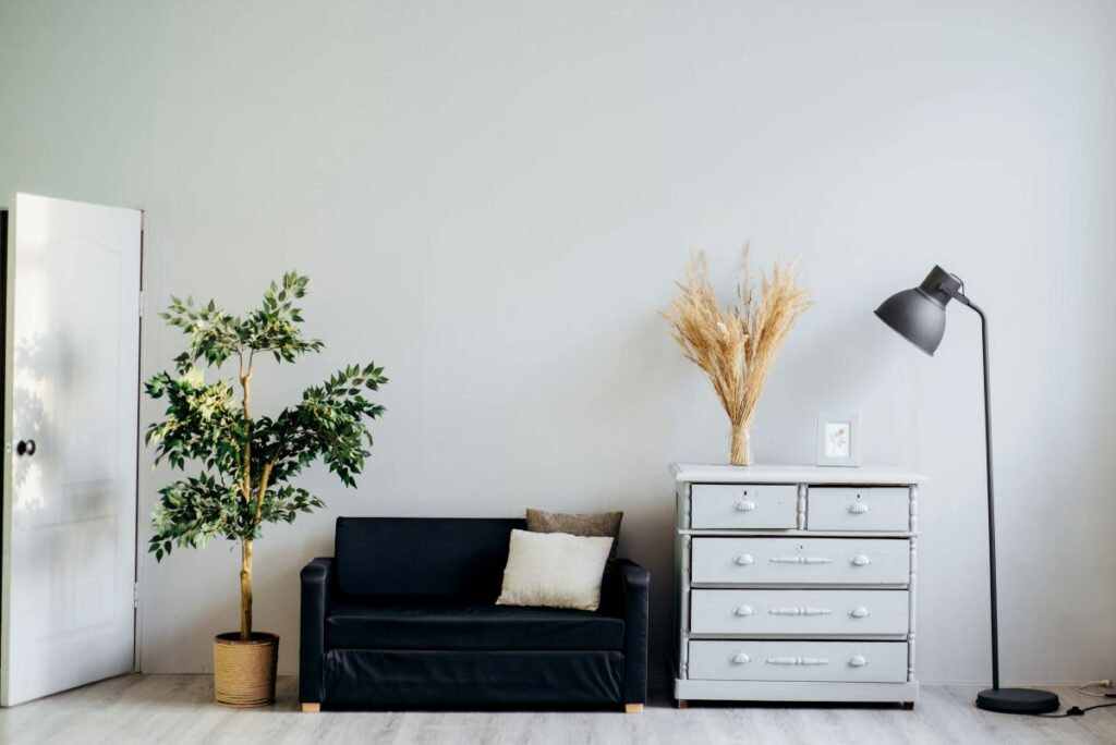 couch with plant and dresser with lamp