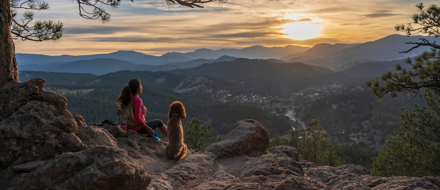 Image for Denver Dog Parks and Pet Grooming