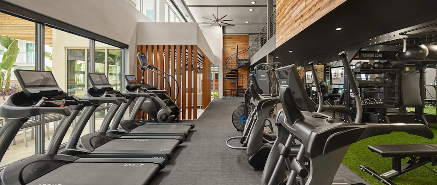 Image for The Best Apartment Gyms in Tampa