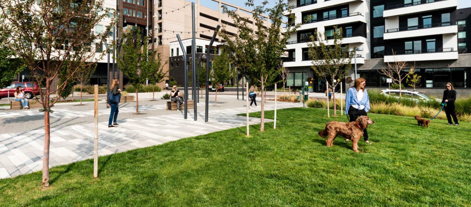 Image for 10 Awesome Pet-Friendly Apartments in Denver