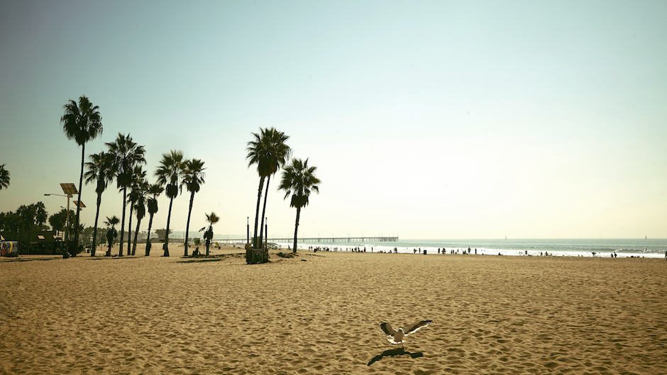 Image for Are You a Legit Angeleno?