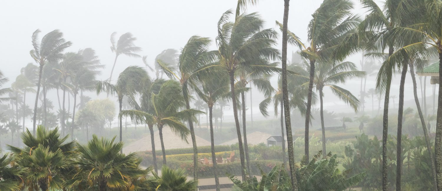 Image for How To Prepare for a Hurricane in an Apartment Building