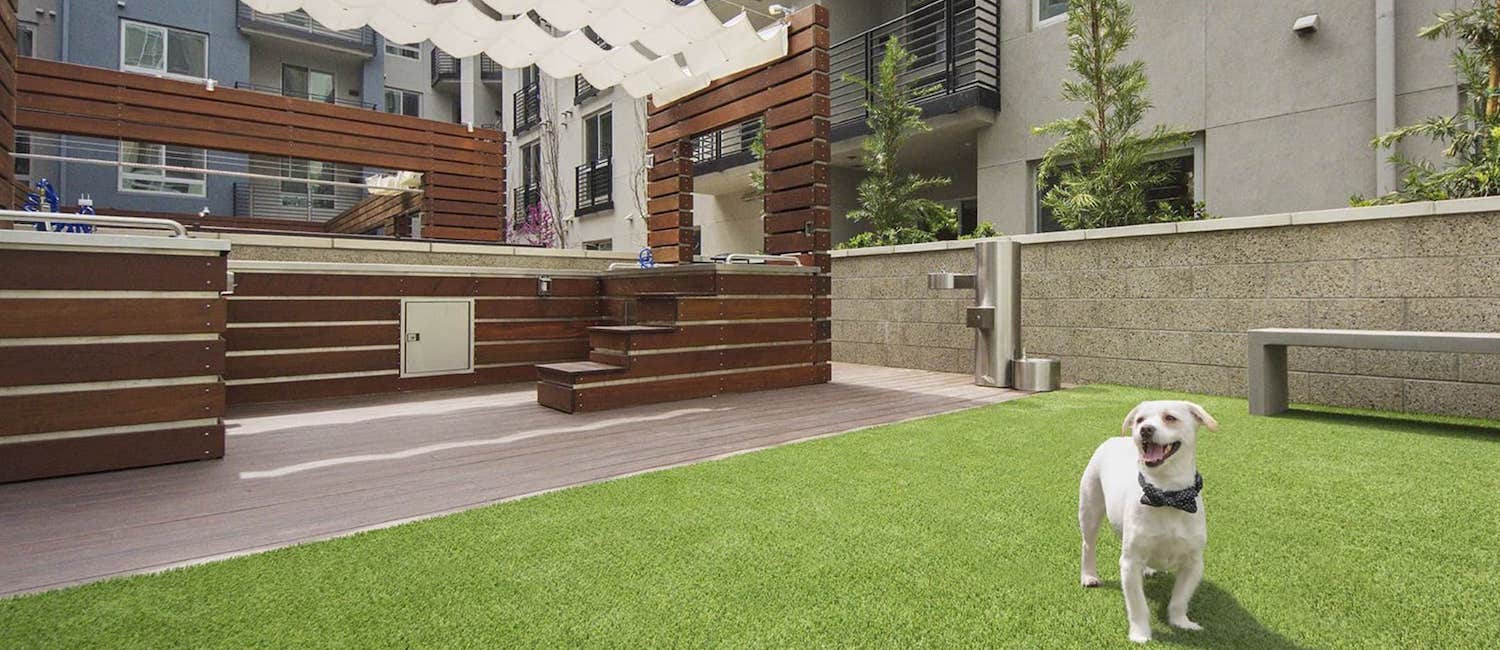 Image for Awesome Pet-friendly Apartments in Los Angeles