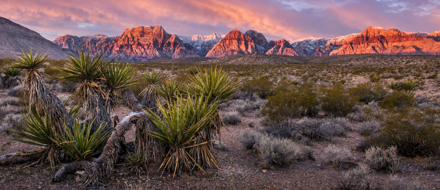 Image for 4 Outdoor Activities in Las Vegas