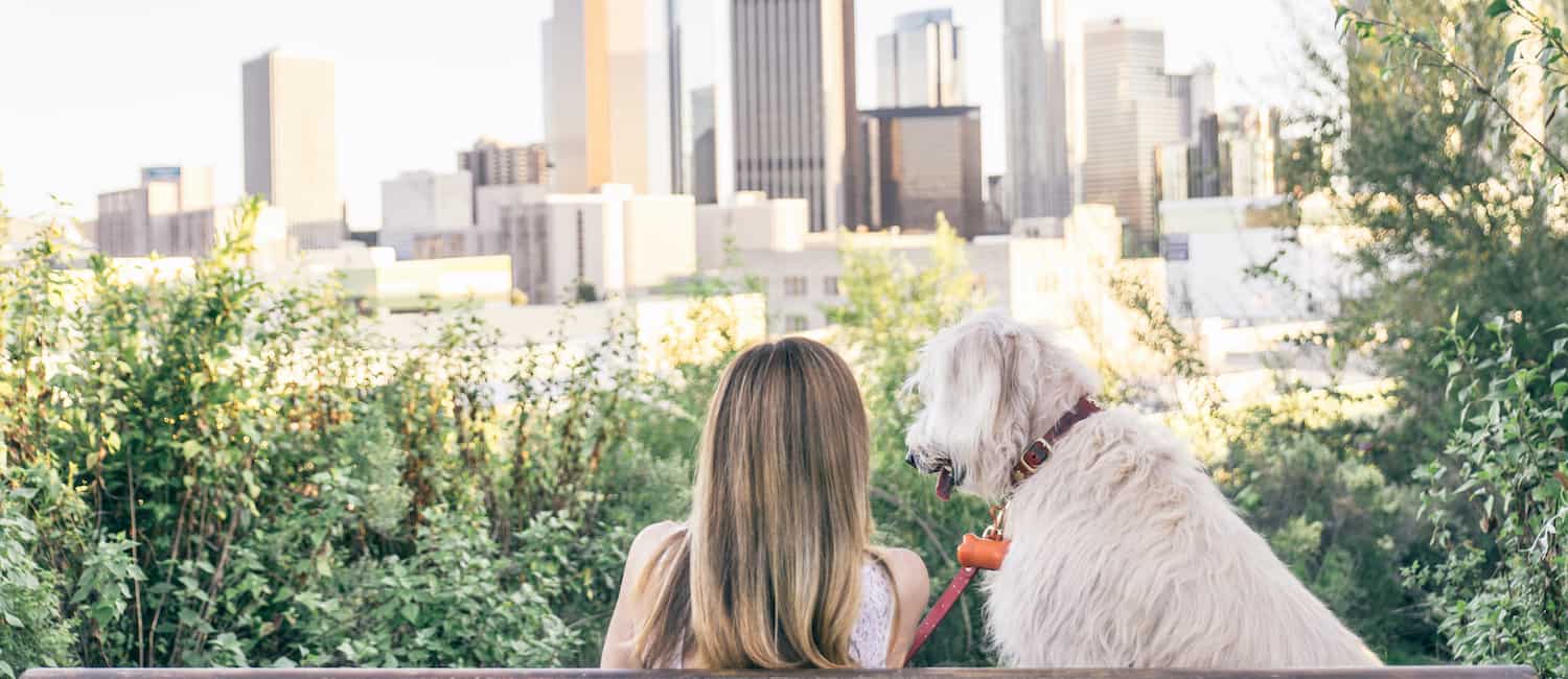 Image for Best Dog Parks in Los Angeles