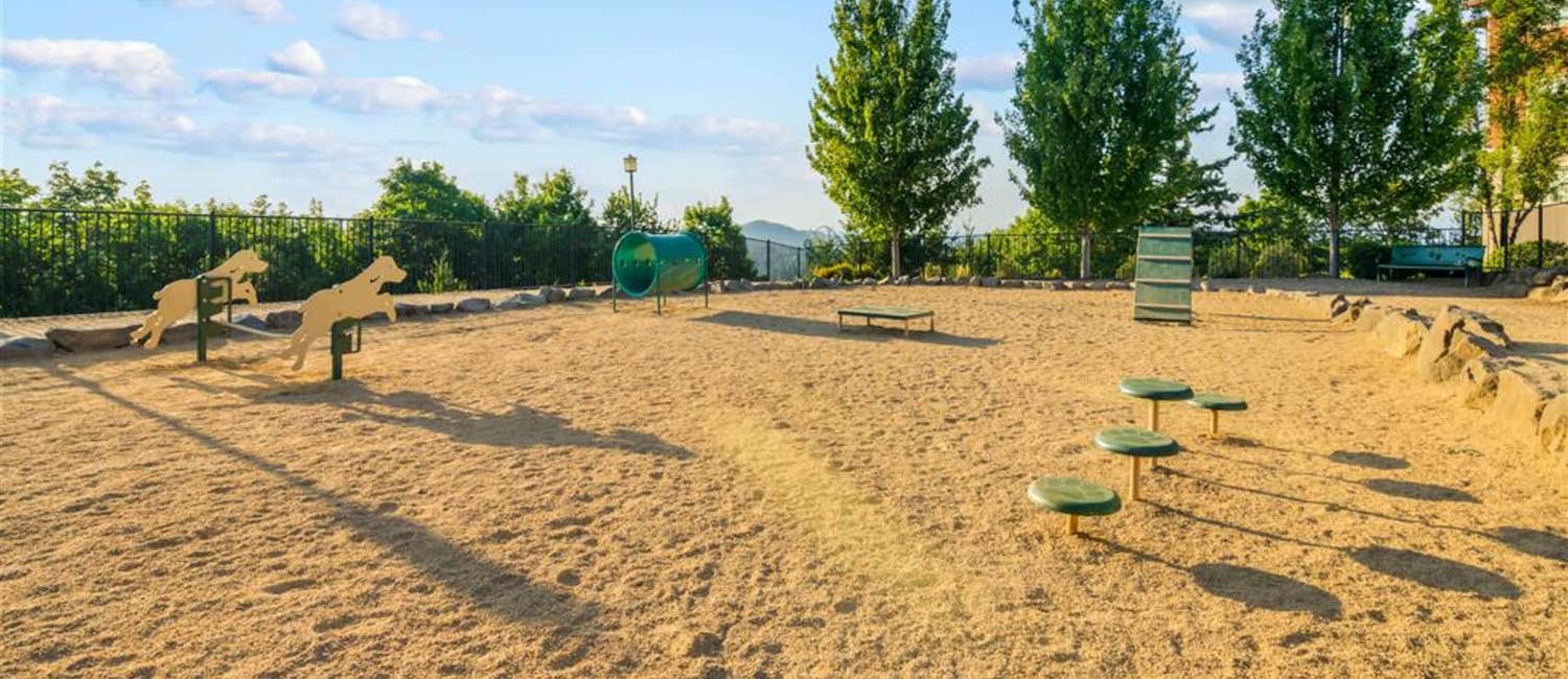 Image for Awesome Pet-friendly Apartments in Portland