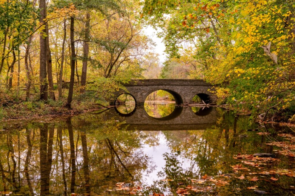 Beautiful fall foliage in a park in Middletown, Ohio