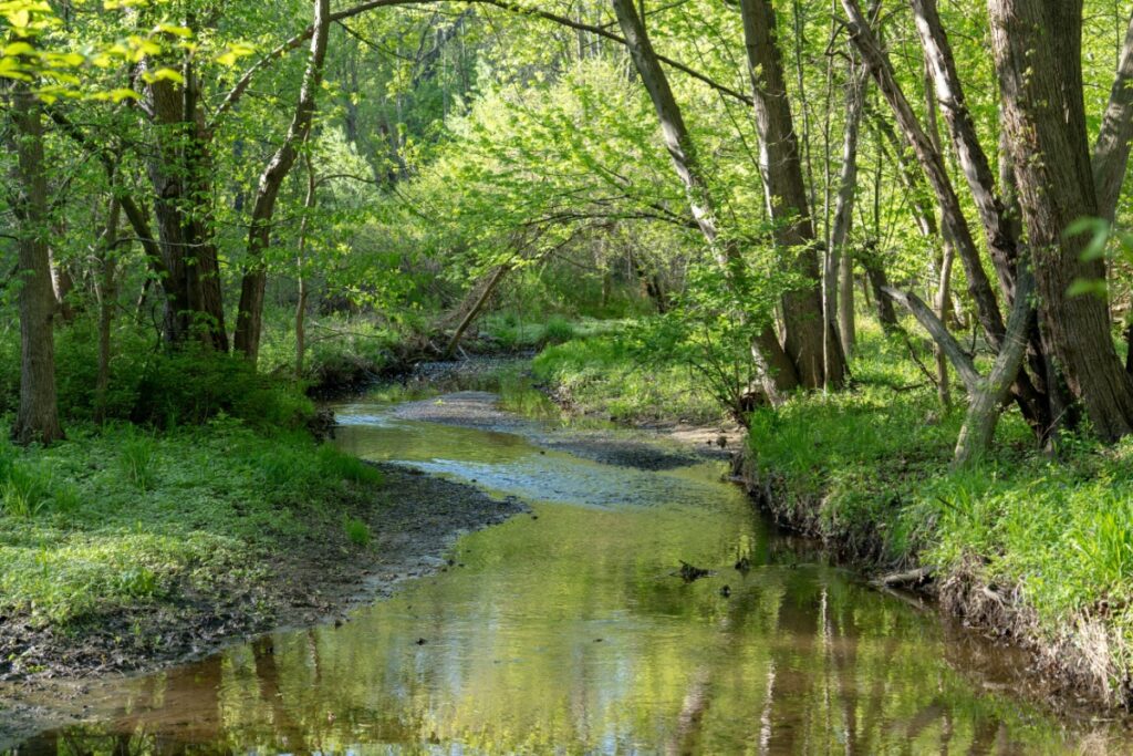Lush greenery and a creek running through a park in Maple Heights, OH