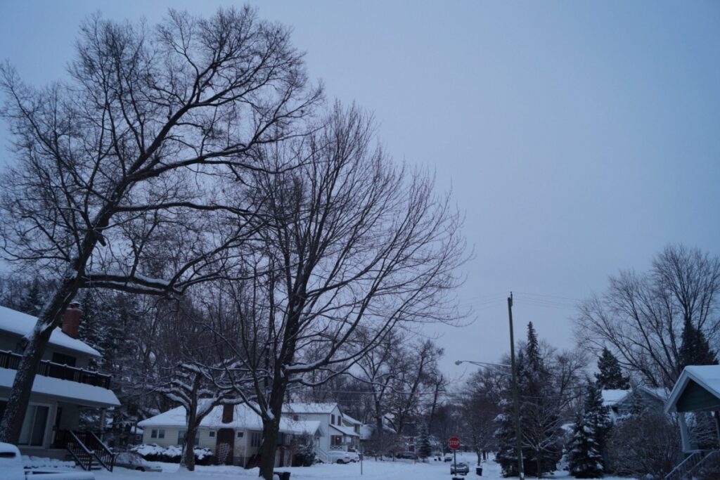 A snowy evening in Royal Oak, just outside of Detroit