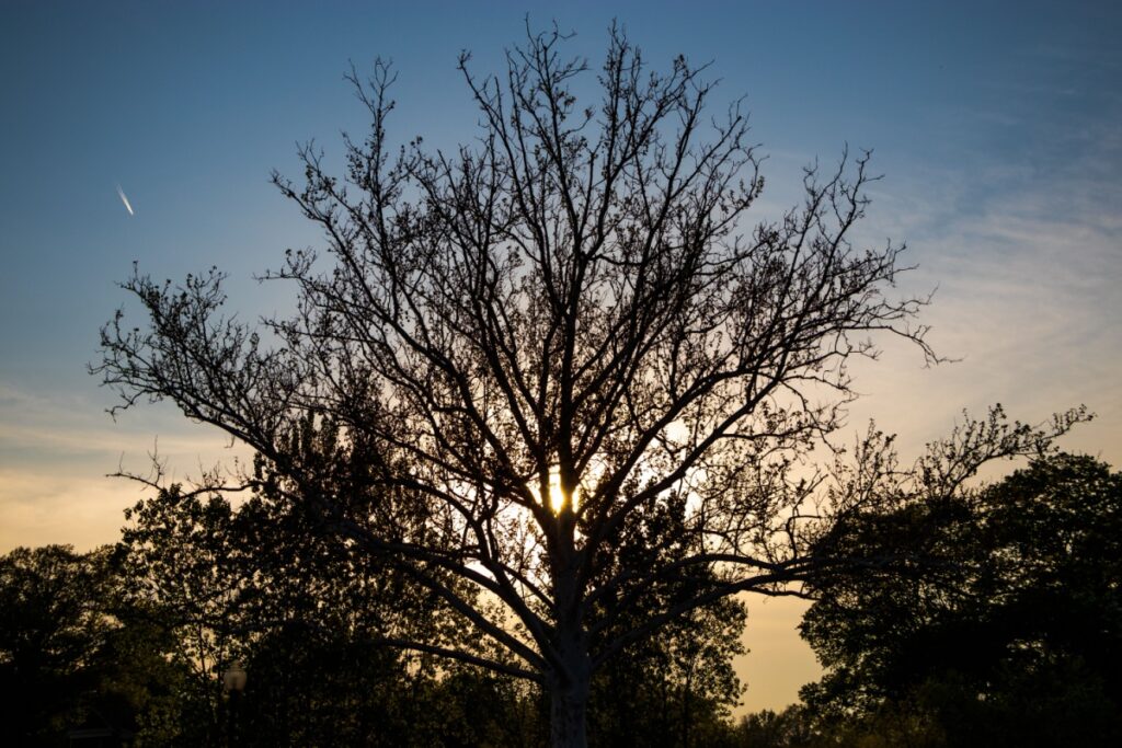 Sun setting in Westland, Michigan, near Detroit