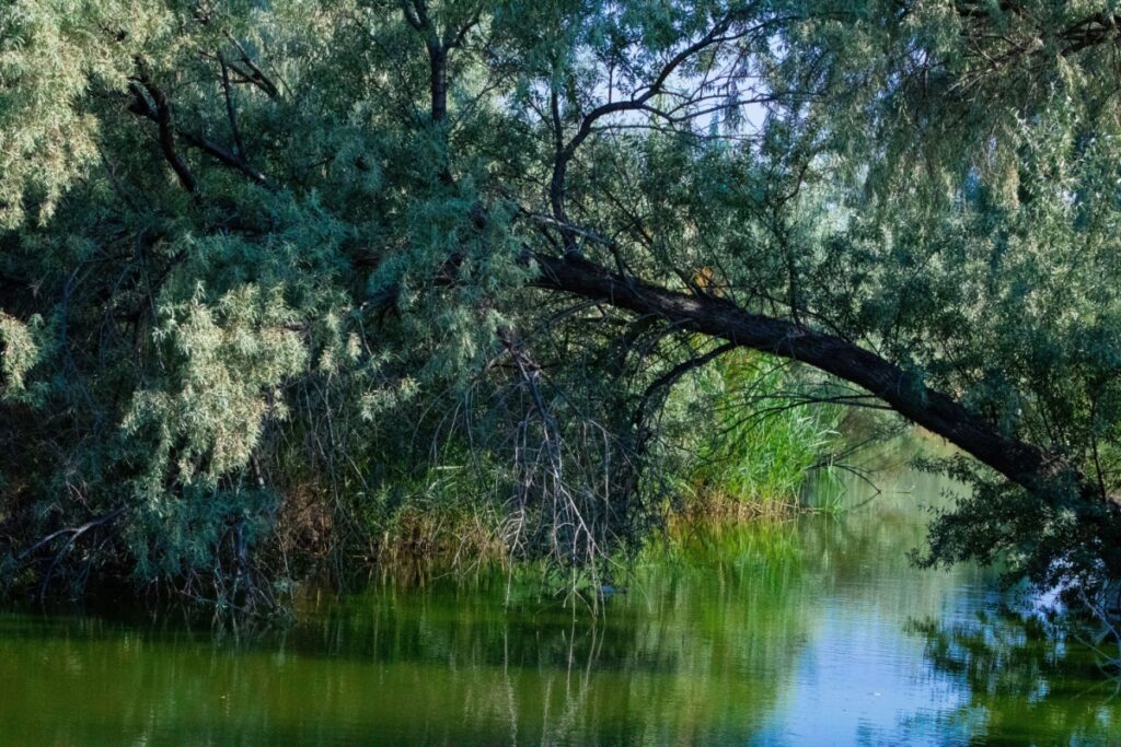 River running through Taylorsville, just outside of Salt Lake City, Utah