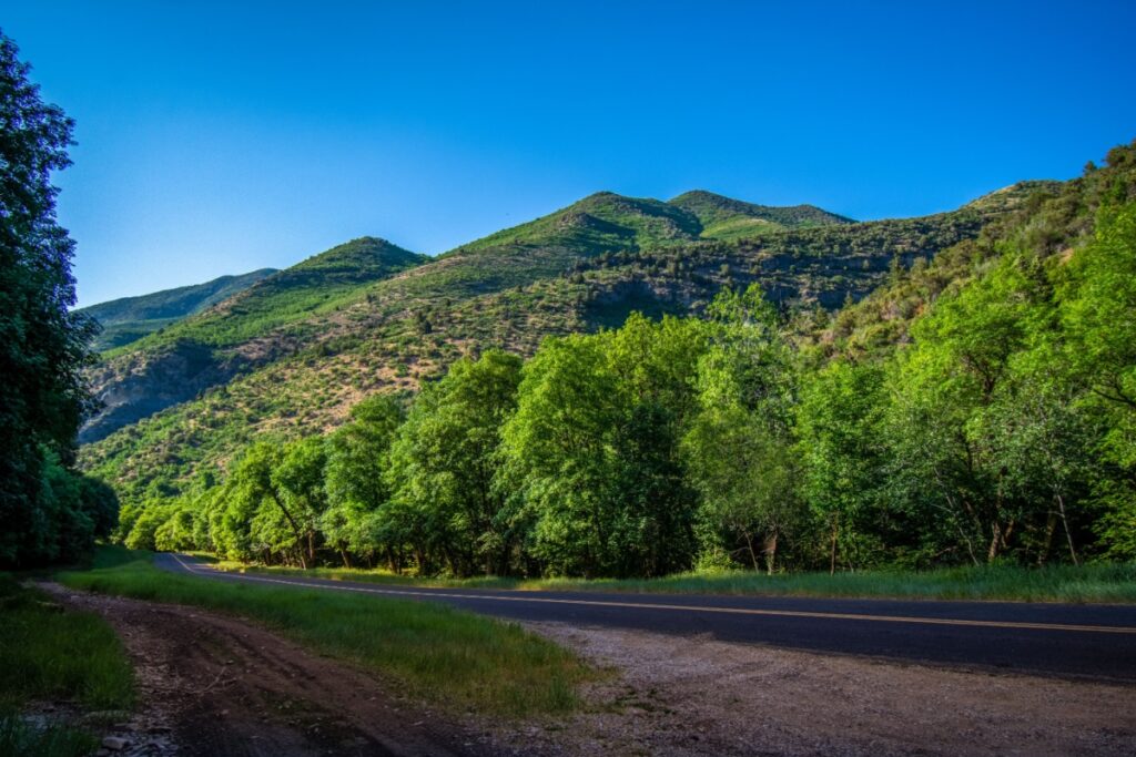 Beautiful green trees lining the road into Tooele, Utah