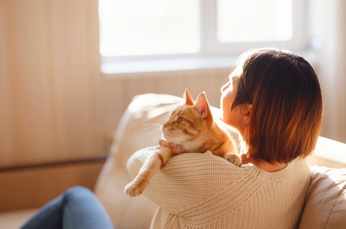 Part of negotiating rent is selling yourself as a good tenant to the property manager, which is easier for an existing tenant than it is for a new tenant