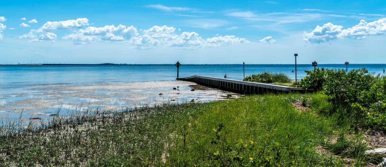 Image for Summer Activities in Tampa